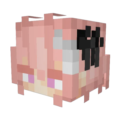 GOOBERZ248 Minecraft avatar head, 3D render
