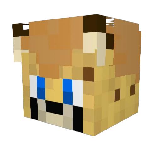 GOOBER_OG Minecraft avatar head, 3D render