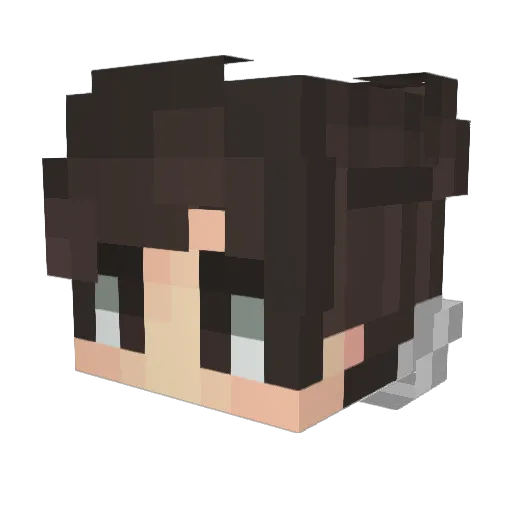 GOPHER007 Minecraft avatar head, 3D render
