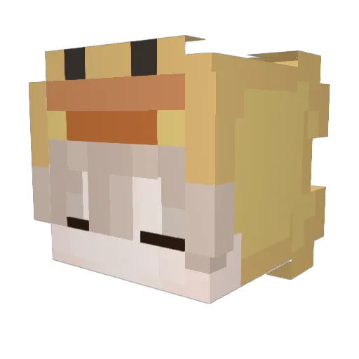 GOTPA Minecraft avatar head, 3D render