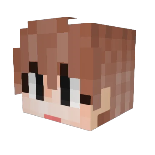 GOdsu1 Minecraft avatar head, 3D render