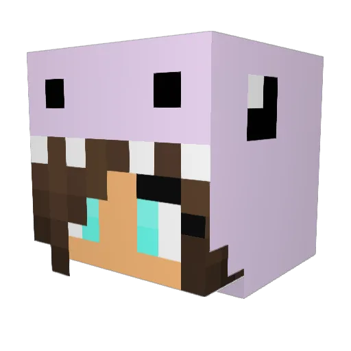 GRACE445 Minecraft avatar head, 3D render