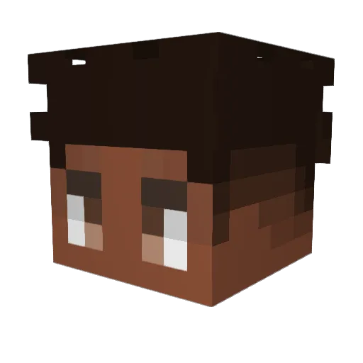 GRENINJAGAMER Minecraft avatar head, 3D render