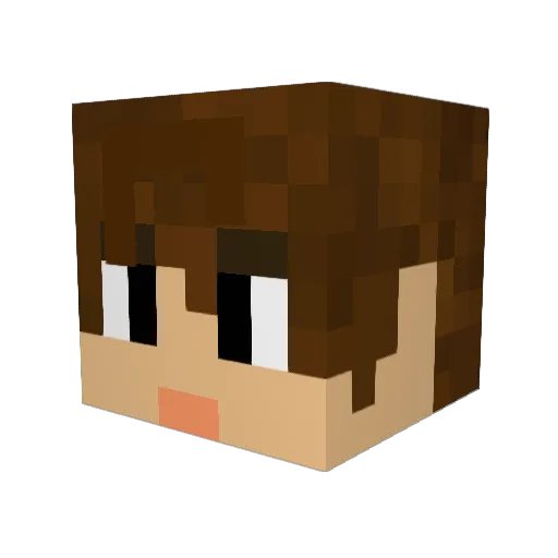 GRIFFIN10123 Minecraft avatar head, 3D render