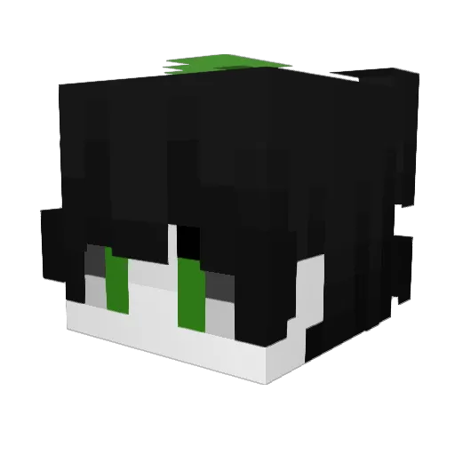 GROOT4384 Minecraft avatar head, 3D render