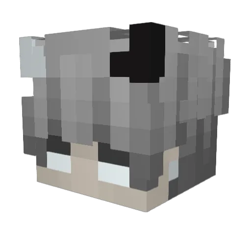 GROVESEXX Minecraft avatar head, 3D render