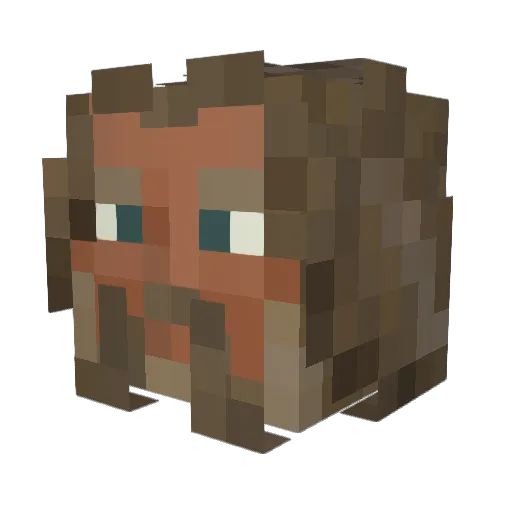 GSkills1234 Minecraft avatar head, 3D render