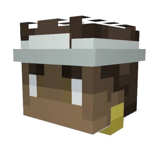 GSypher Minecraft avatar head, 3D render