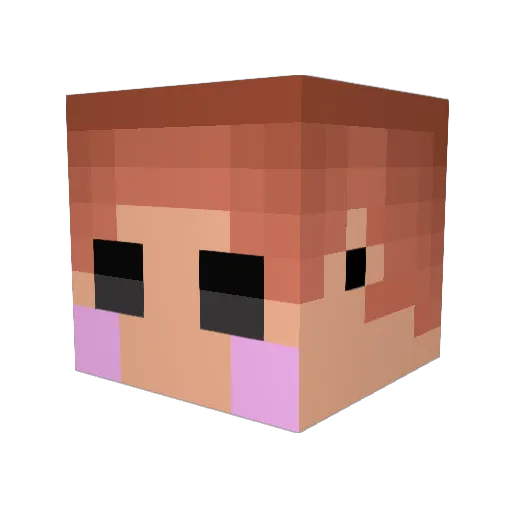 GUANx2 Minecraft avatar head, 3D render
