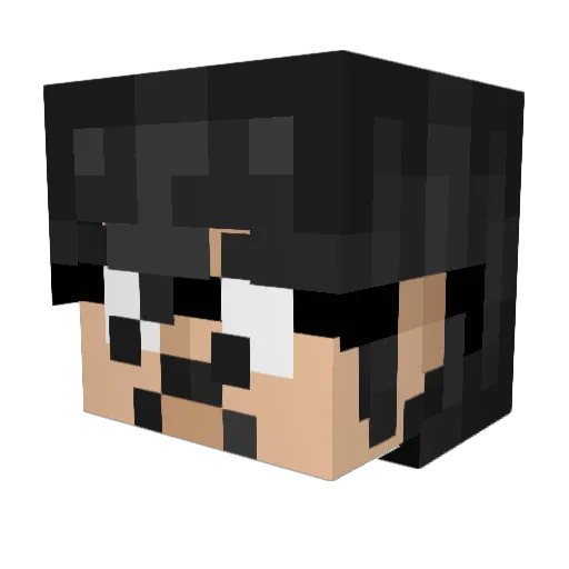 GUAPO4LIFE Minecraft avatar head, 3D render