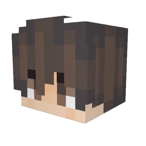GUIYANGZI Minecraft avatar head, 3D render