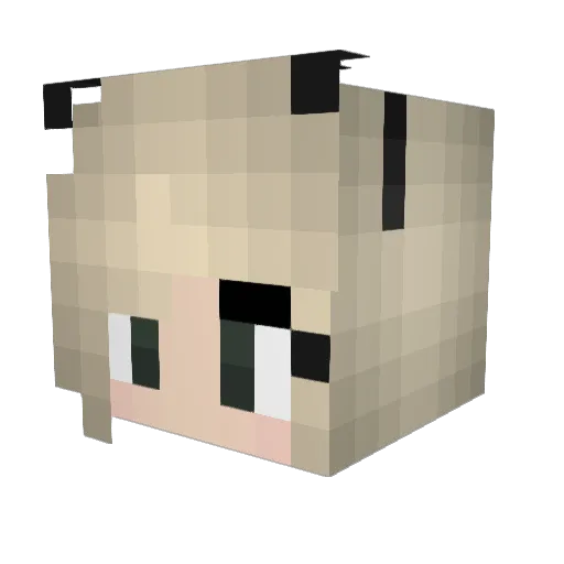 GUMBALL_64 Minecraft avatar head, 3D render
