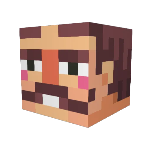GUSTAVOTEAM Minecraft avatar head, 3D render