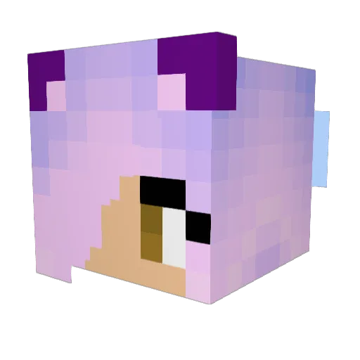 GYROFLUFF Minecraft avatar head, 3D render
