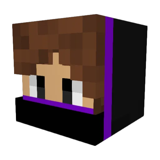 G_Fox_G Minecraft avatar head, 3D render