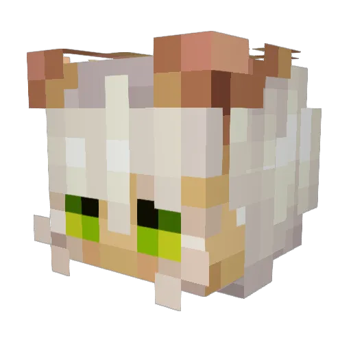 G_Haze Minecraft avatar head, 3D render
