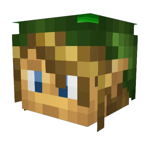 G_O_DShadow2 Minecraft avatar head, 3D render