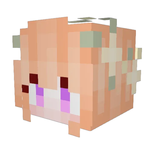 G_Qing Minecraft avatar head, 3D render