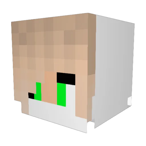 G_Rexxy Minecraft avatar head, 3D render