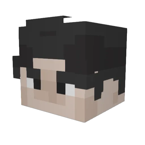 G_Sunny Minecraft avatar head, 3D render