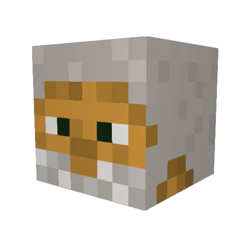 G_TheWizard Minecraft avatar head, 3D render