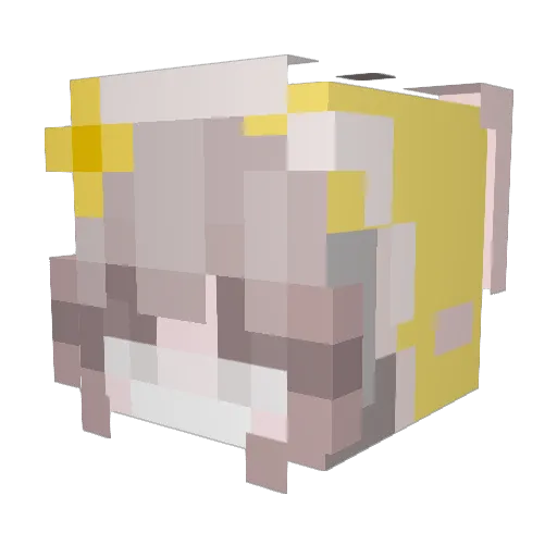 G_aenari Minecraft avatar head, 3D render