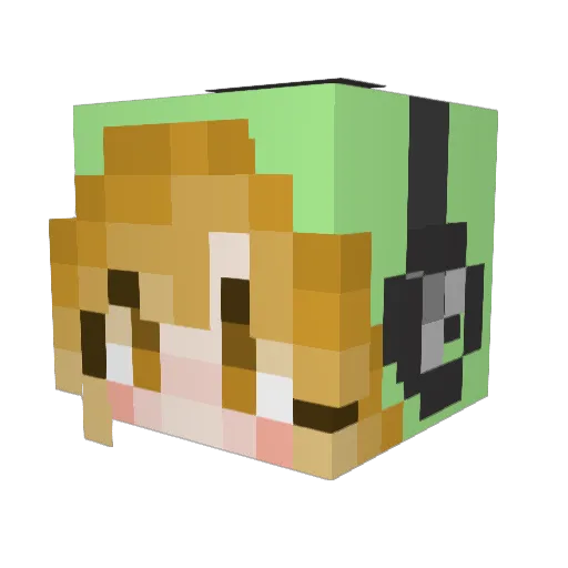 GaBa810 Minecraft avatar head, 3D render