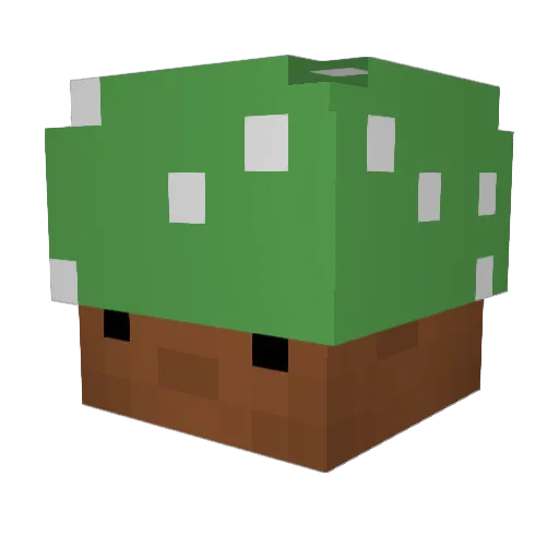 GaFungus Minecraft avatar head, 3D render
