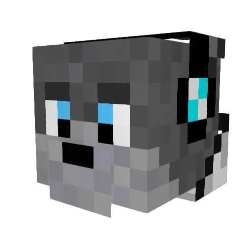 GaToooO1 Minecraft avatar head, 3D render
