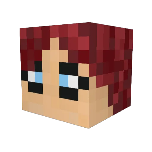 Gaarasumo Minecraft avatar head, 3D render