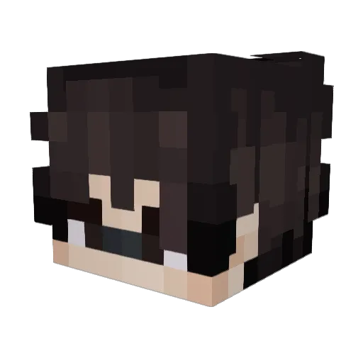 Gaardened Minecraft avatar head, 3D render