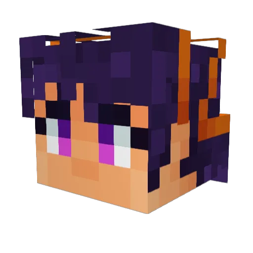 Gaauss Minecraft avatar head, 3D render