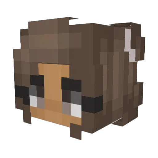 GabRose011 Minecraft avatar head, 3D render