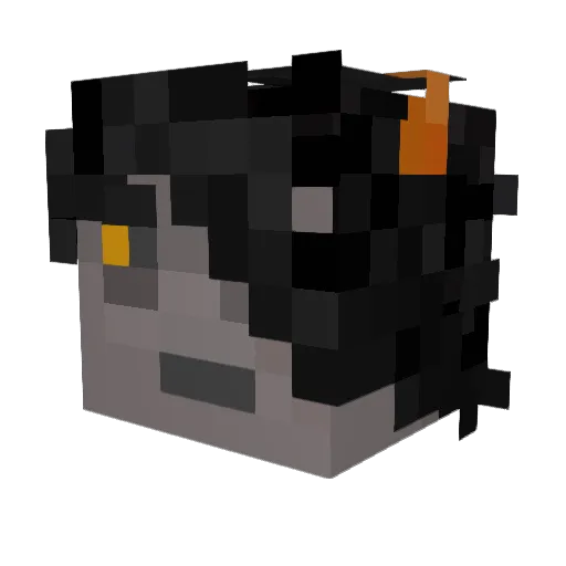 Gabafool Minecraft avatar head, 3D render