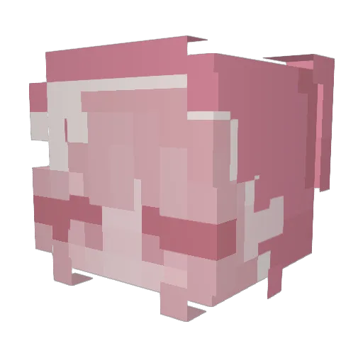 Gabagoo420 Minecraft avatar head, 3D render