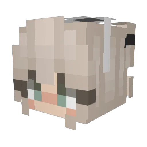 GabbaWoober Minecraft avatar head, 3D render