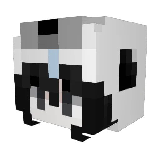 GabbyCooper Minecraft avatar head, 3D render