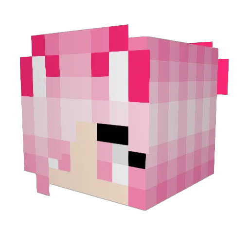 GabbyGabGabs0215 Minecraft avatar head, 3D render