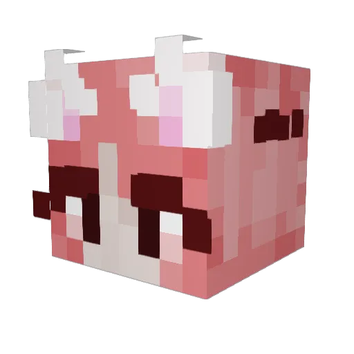 GabbyThePog Minecraft avatar head, 3D render