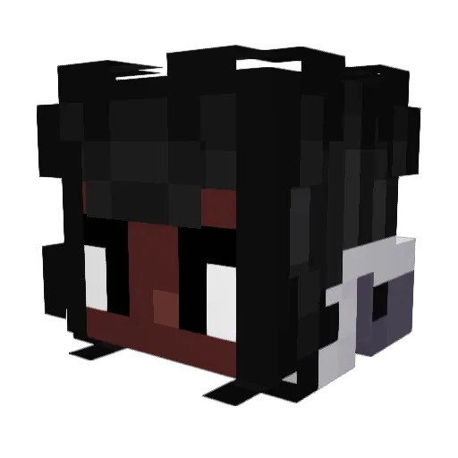 Gabe1084 Minecraft avatar head, 3D render