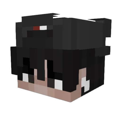 Gabe10__ Minecraft avatar head, 3D render