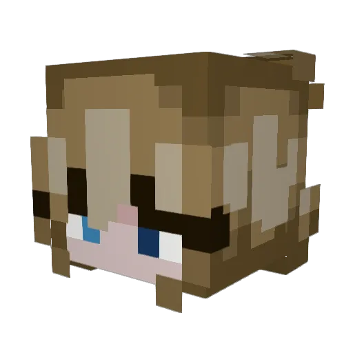 Gabe4209 Minecraft avatar head, 3D render
