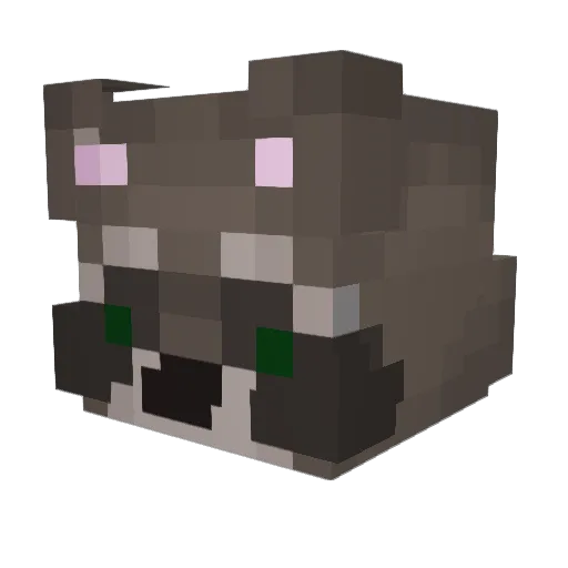 GabeDrinksWater Minecraft avatar head, 3D render