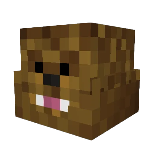 GabeIn2016 Minecraft avatar head, 3D render