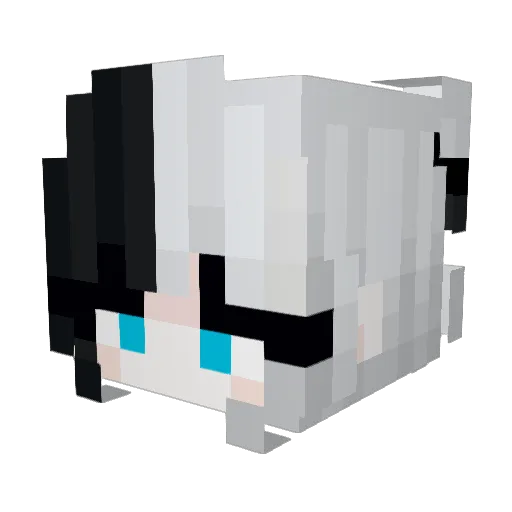 Gabi9500 Minecraft avatar head, 3D render