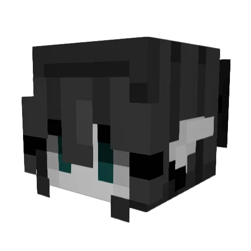 Gabi_2008 Minecraft avatar head, 3D render