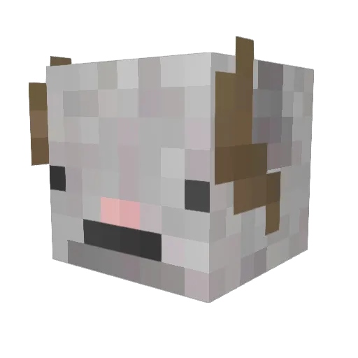 Gabi_Michal Minecraft avatar head, 3D render