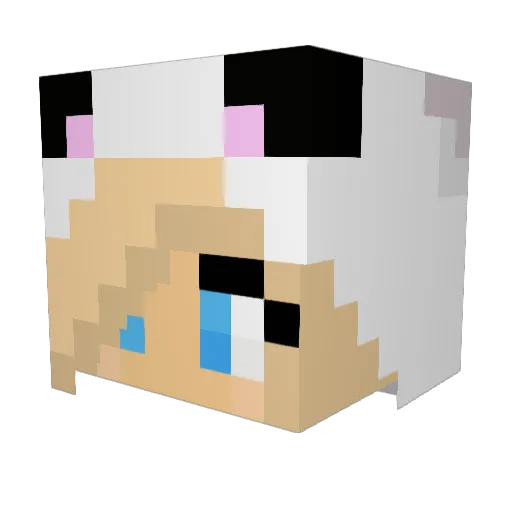 Gabiloup Minecraft avatar head, 3D render
