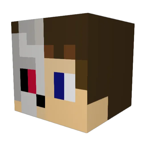 GaboSkeleton2700 Minecraft avatar head, 3D render