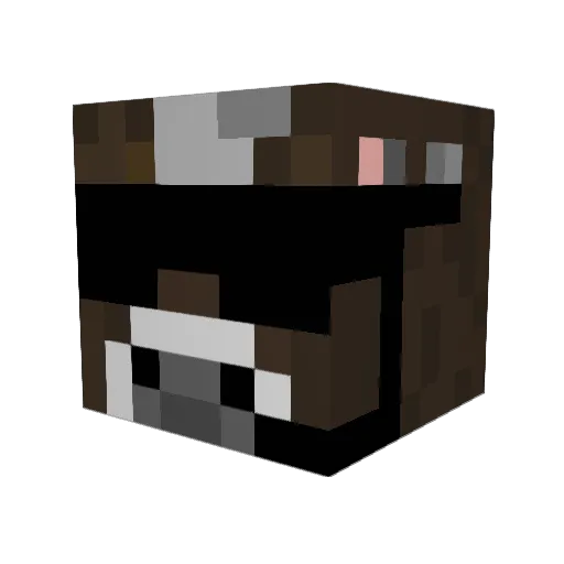 GaboTheGamer Minecraft avatar head, 3D render